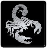 1-06514 3D skorpion 8,1 x 5,5 cm mobiauto