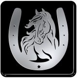1-06529 3D koń w podkowie 6,1 x 6,1 cm MOBIAUTO